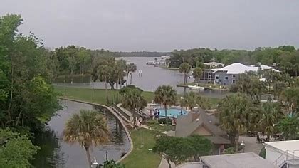 crystal river live cam|Crystal River, Homosassa River, Florida (USA)